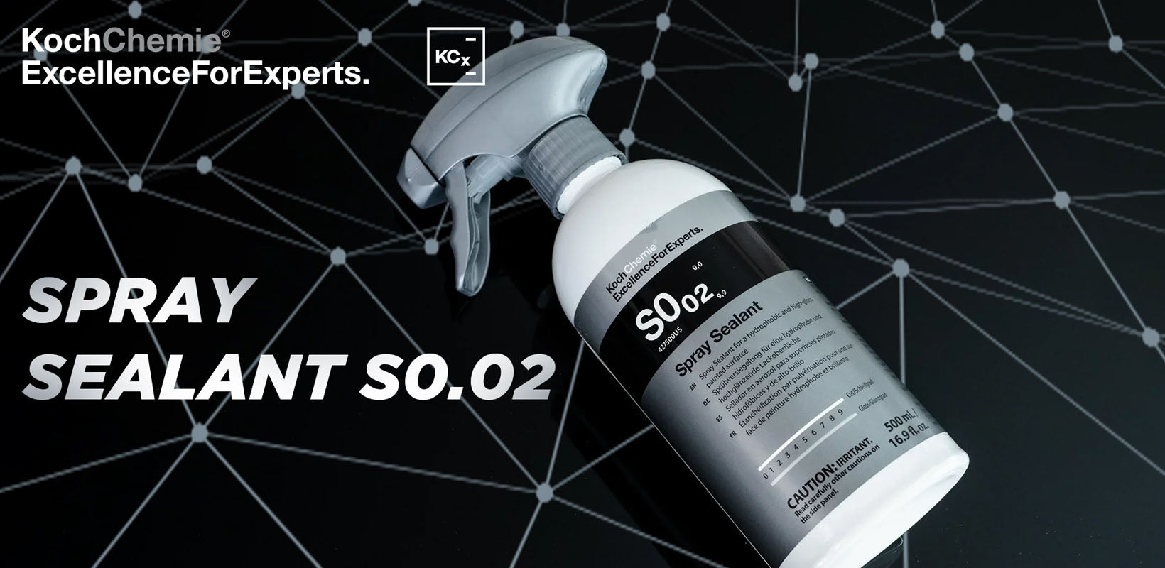 Cara Mudah Aplikasi Paint Protection Sealant di Rumah
