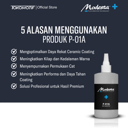 Modesta P-01A - Primer